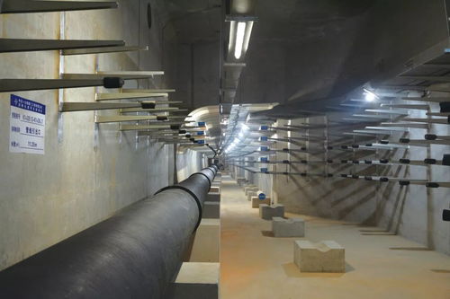 喜訊 公司四項目榮膺中國交建優質工程獎，彰顯市政建設卓越實力